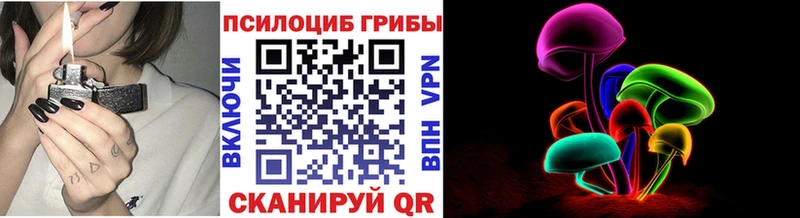 Псилоцибиновые грибы GOLDEN TEACHER Тосно