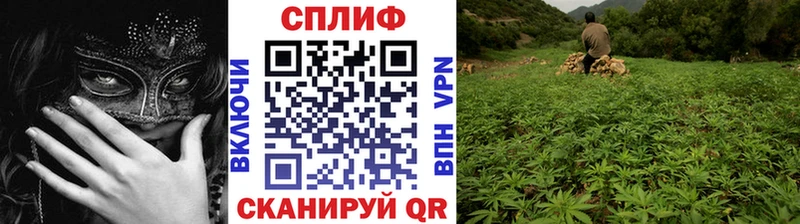 купить  цена  Тосно  Каннабис планчик 